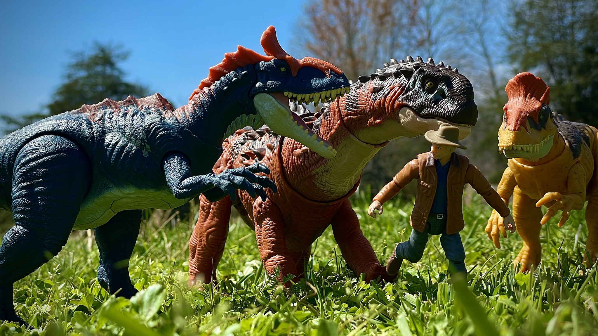 The Fearsome Cold Crested Killers in Action