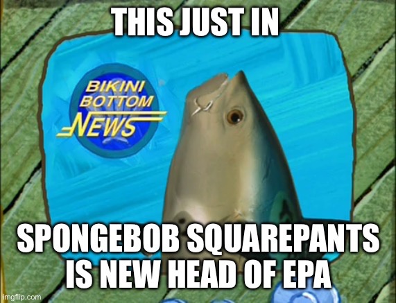 He's on TV, so You Know He's Got the Credentials...