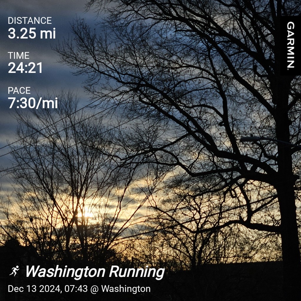 Today's Daily Jog Adventure