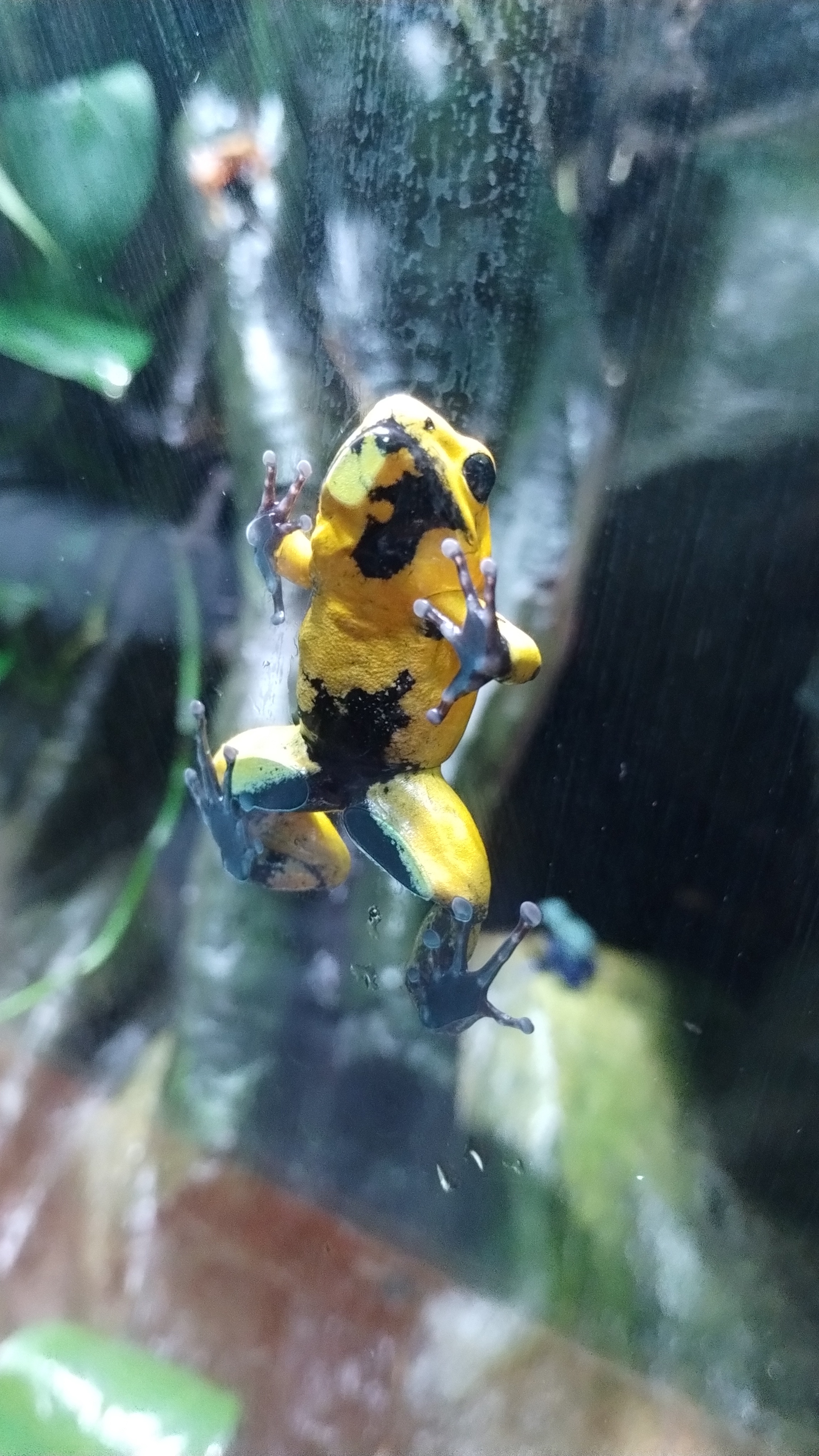 Adorable Alert: Check Out These Little Cuties!