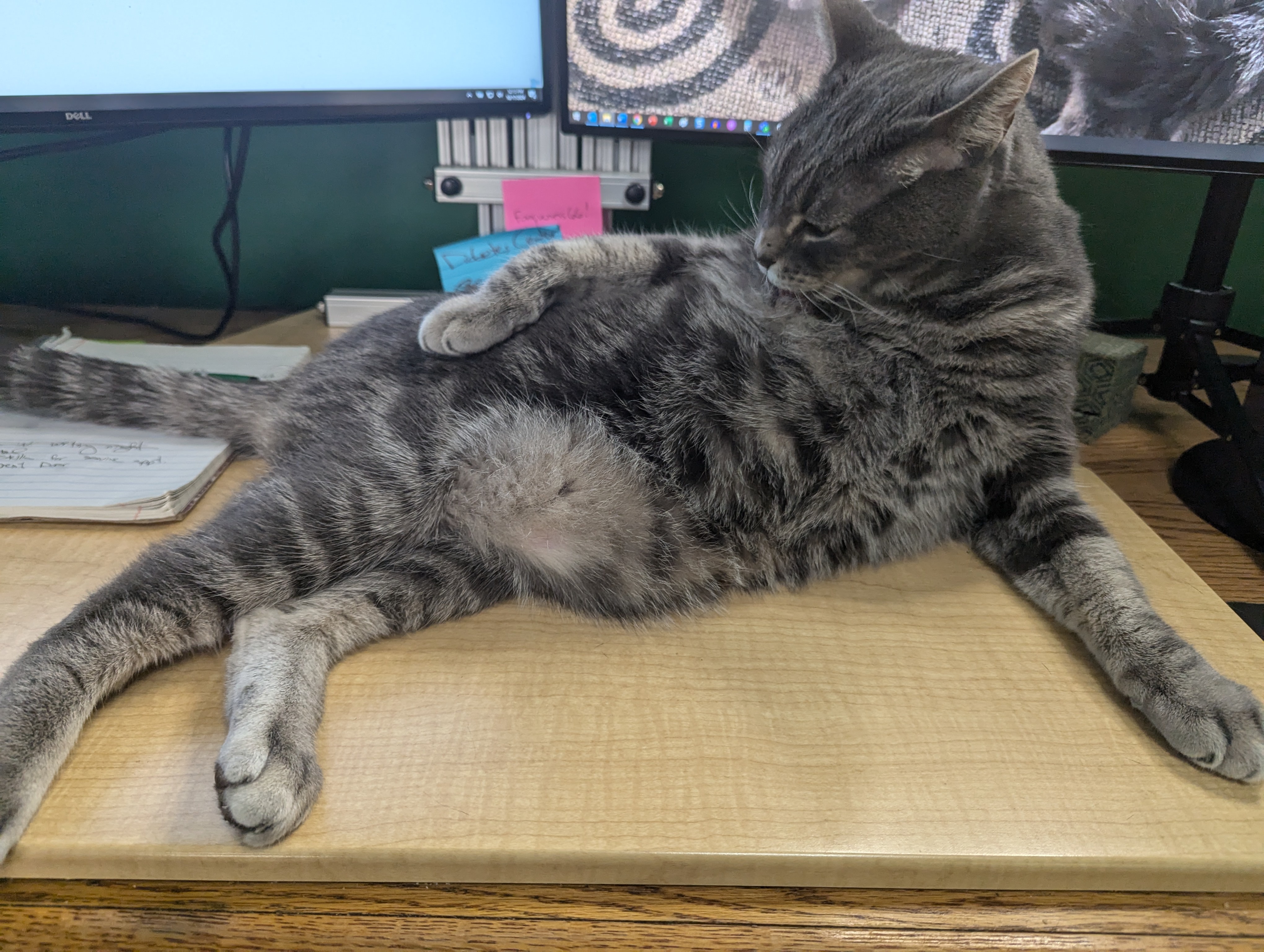 Draw me like one of your French girls, please!