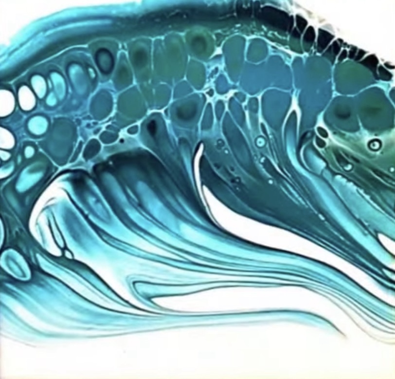 Riding the Wave of Life