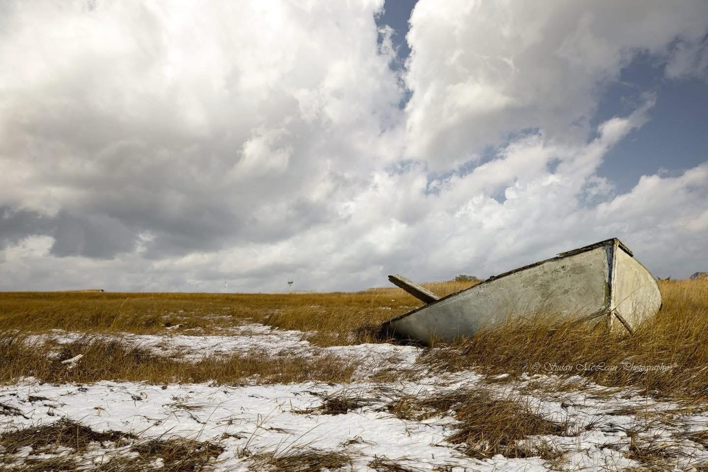 Left Behind: The Story of Abandonment