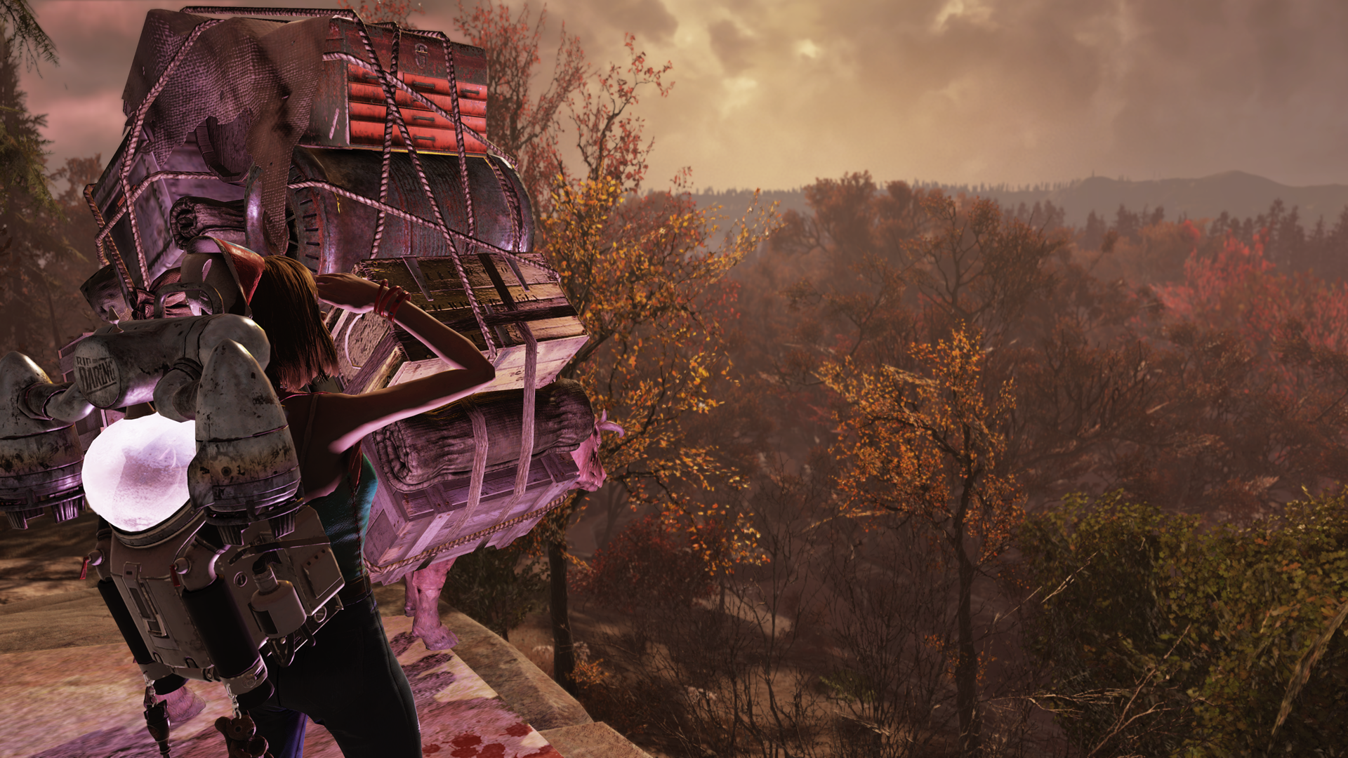 Enjoying the Best View: A Day with a Brahmin