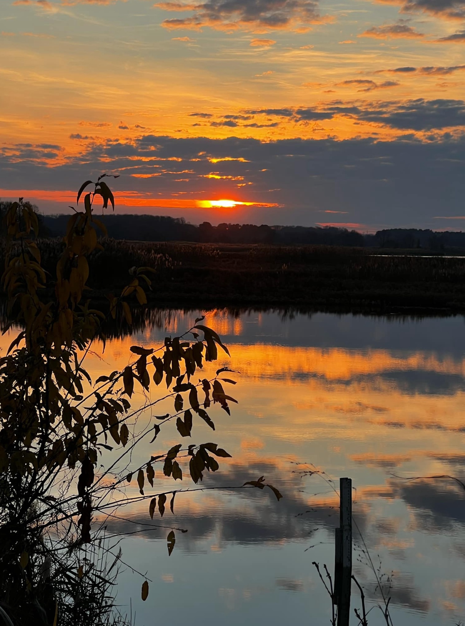 Breathtaking Sunset Moments