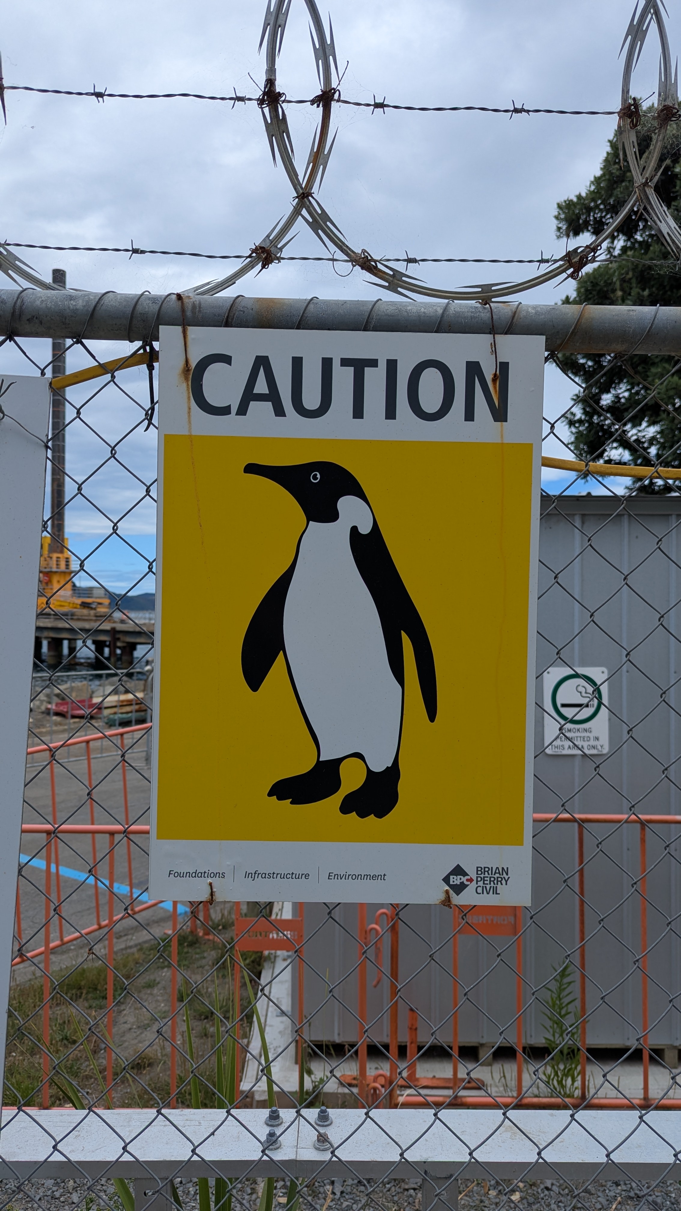 When Penguins Go Rogue: A Tale of Mischief