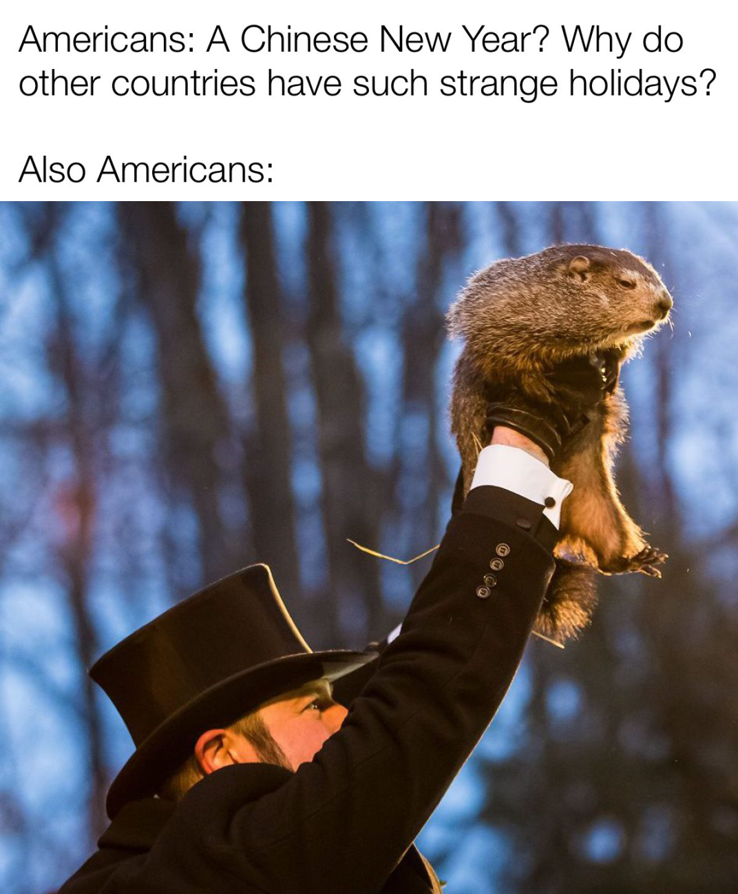 It's Groundhog Day, and here we go again!