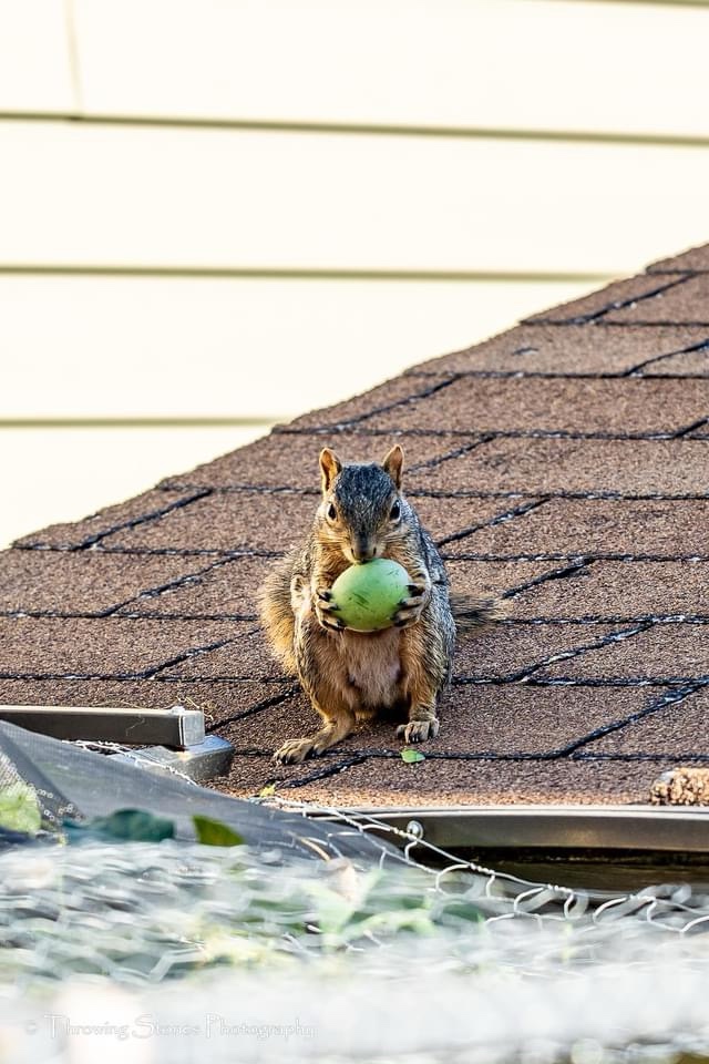 A Grand Feast Awaits