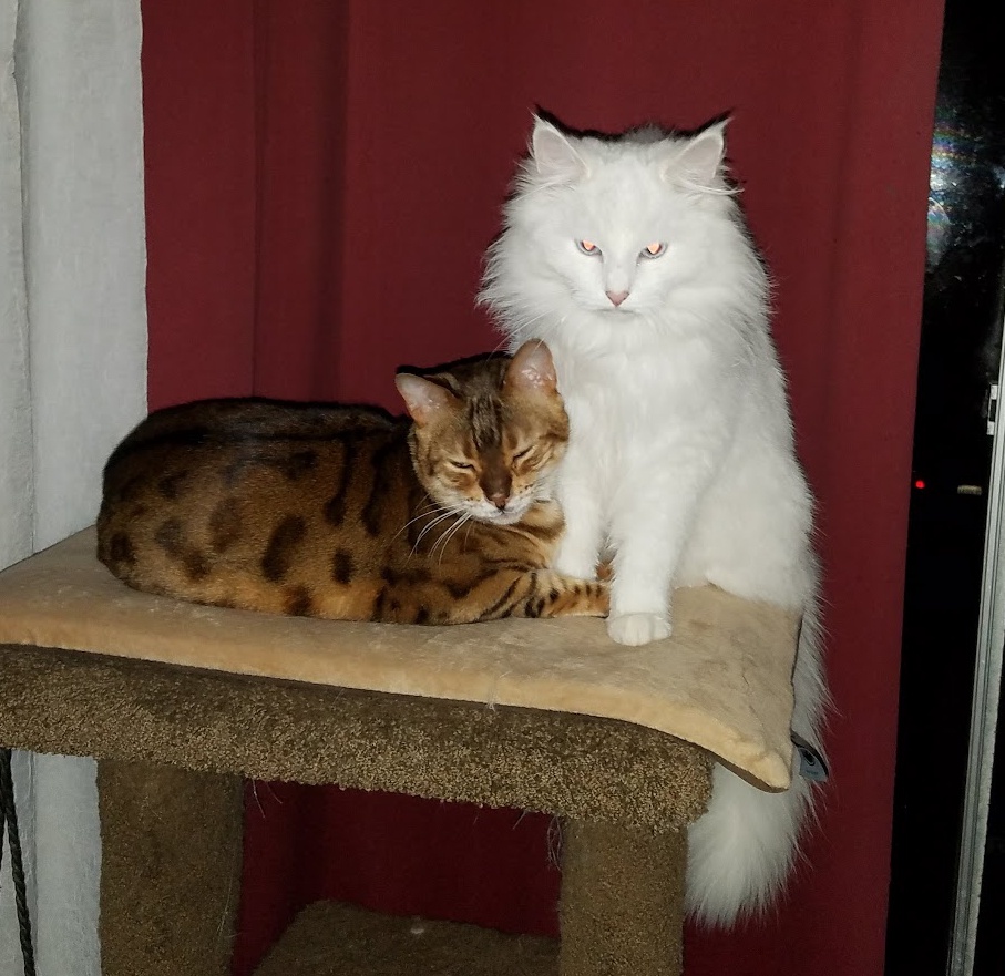 This Photo is One of My All-Time Favorites: Why Does She Have Such an Evil Glare?