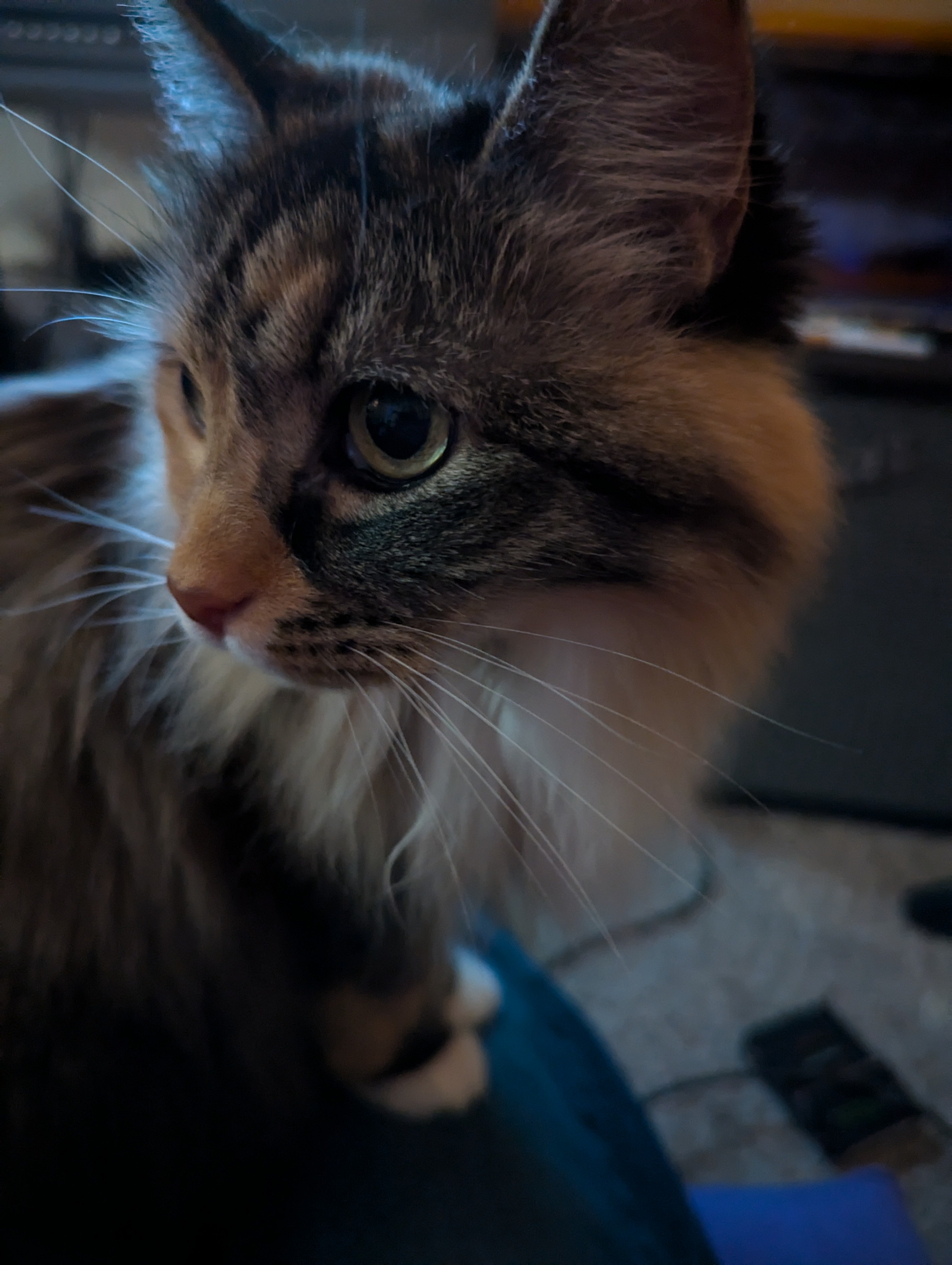 Her Eyes: The Captivating Gaze That Always Draws Me In