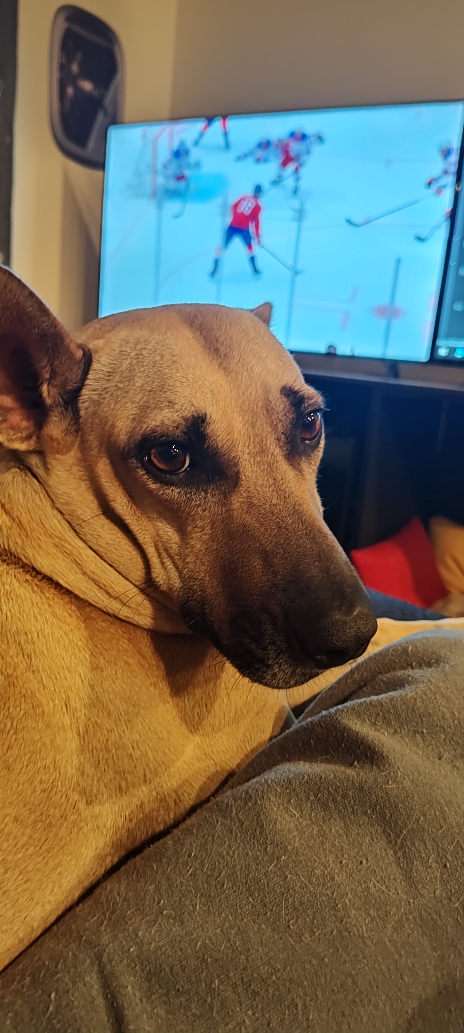Maggie's Intermission: Not Much Movement Here