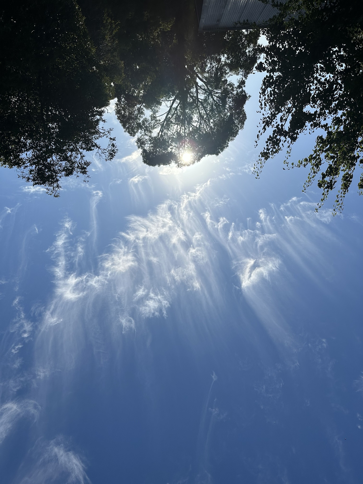 Mysterious Icy Clouds in the Sky