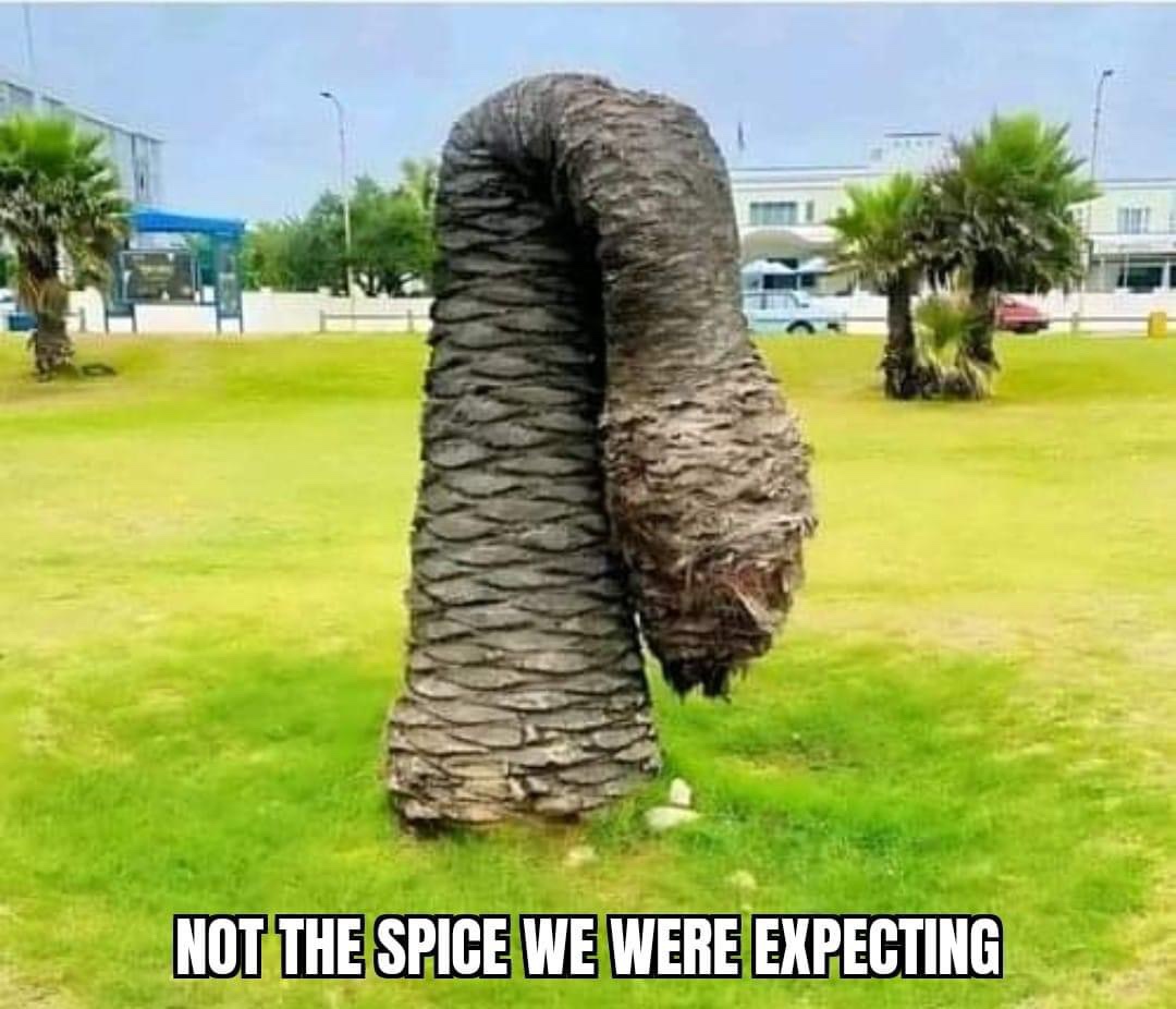 Clearing out my phone: dump number 219