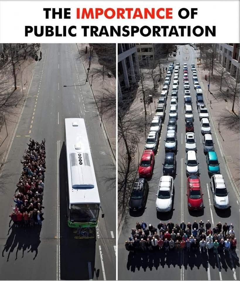 The epic showdown: Buses vs. Cars