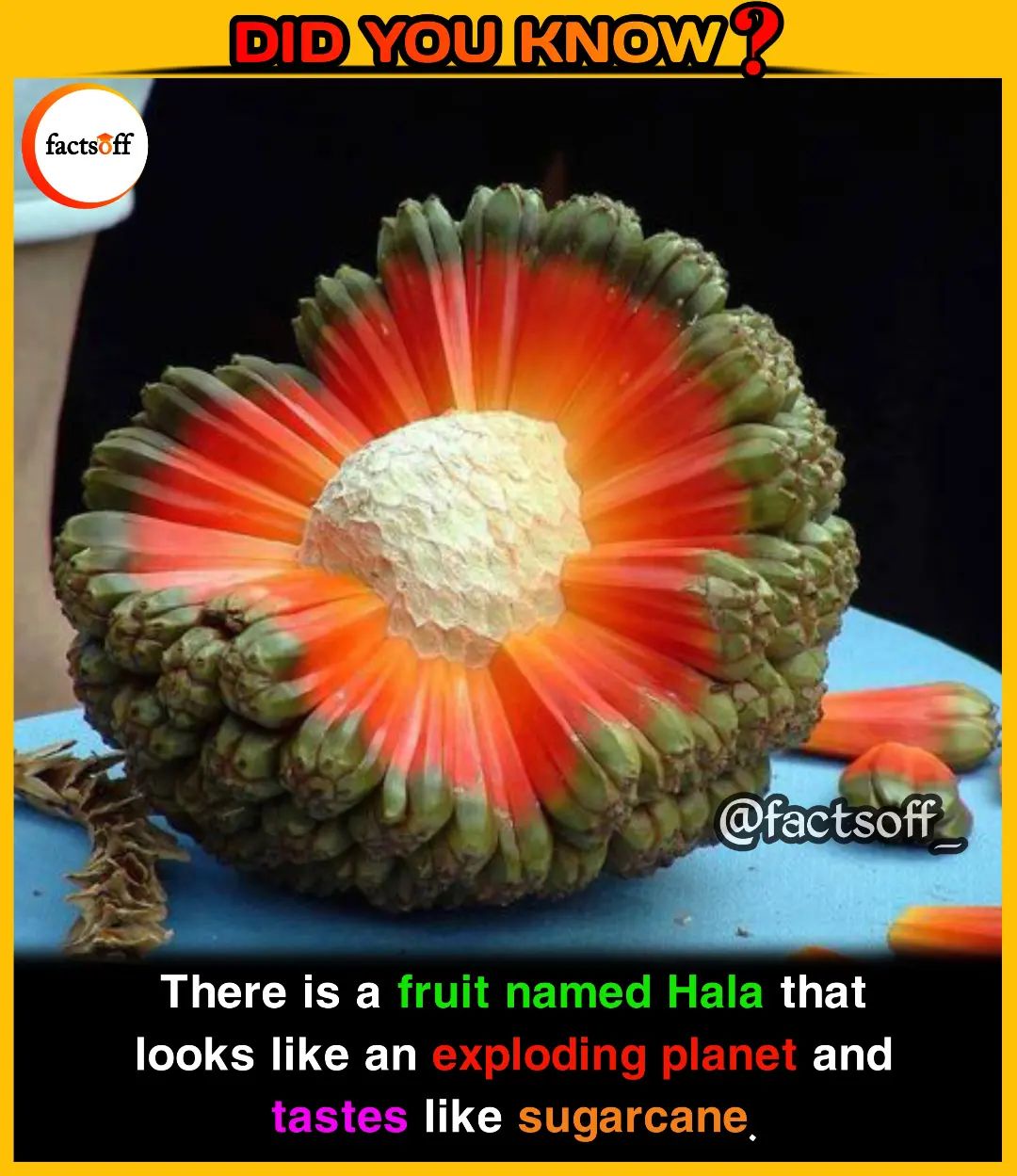A Colorful Array of Fruits