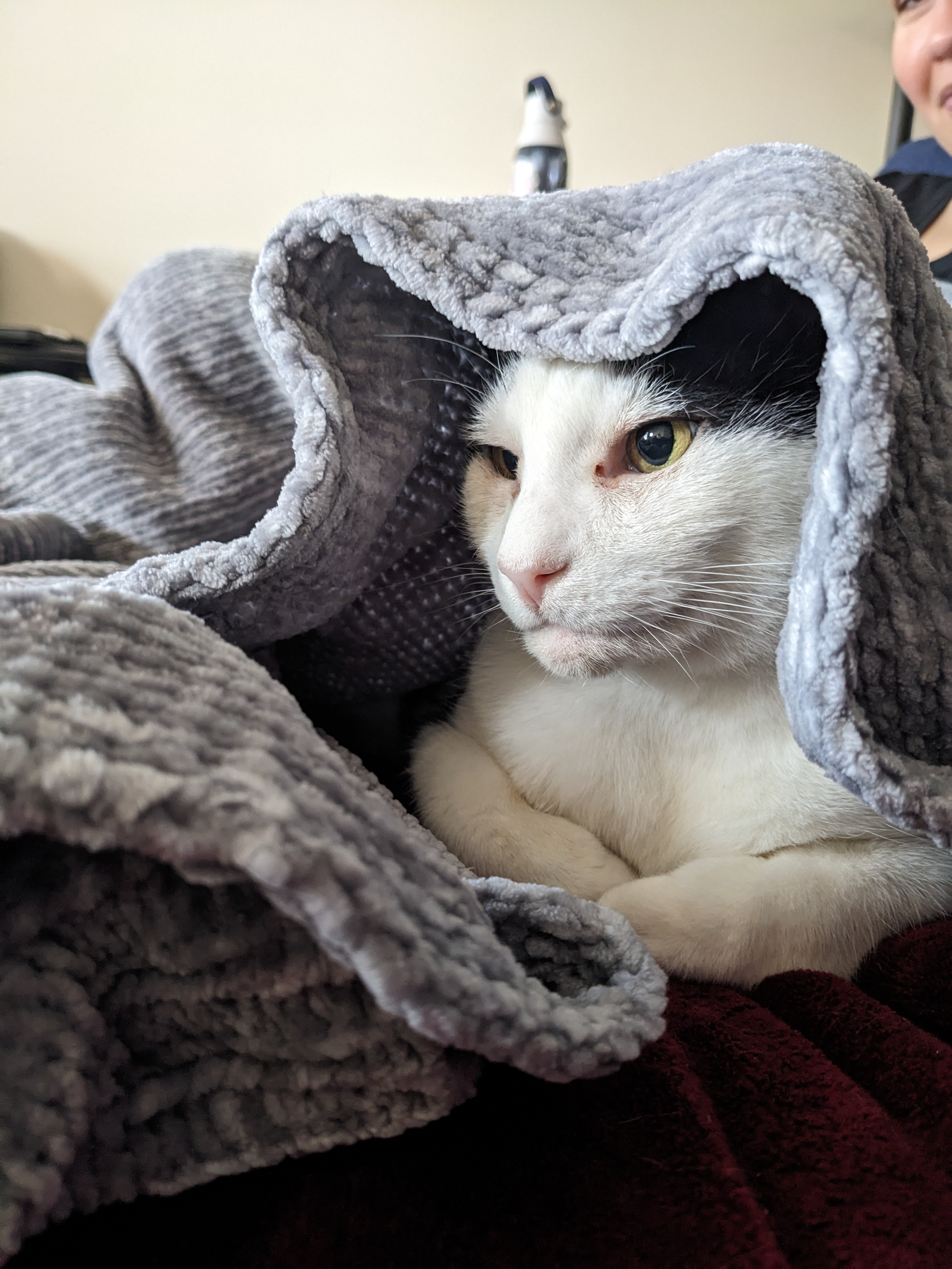 Floyd and His Blanket: A Three-Act Tale