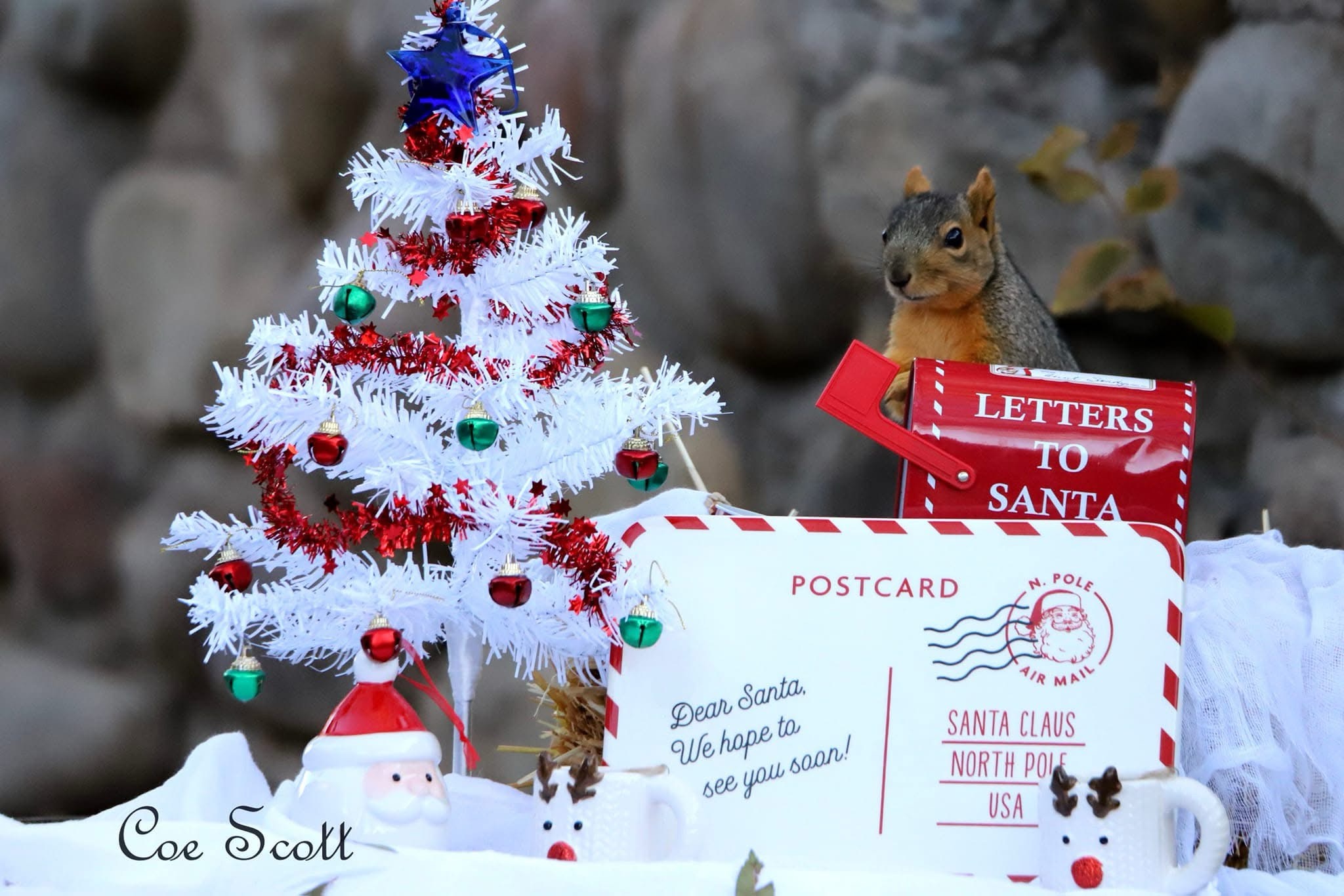 Letters to Santa: The Wish List Chronicles
