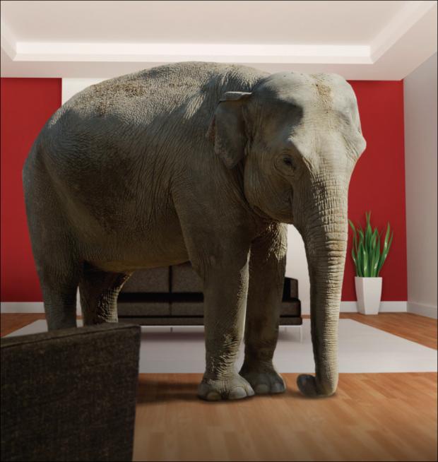 Look who just walked in: the elephant we've all been avoiding!