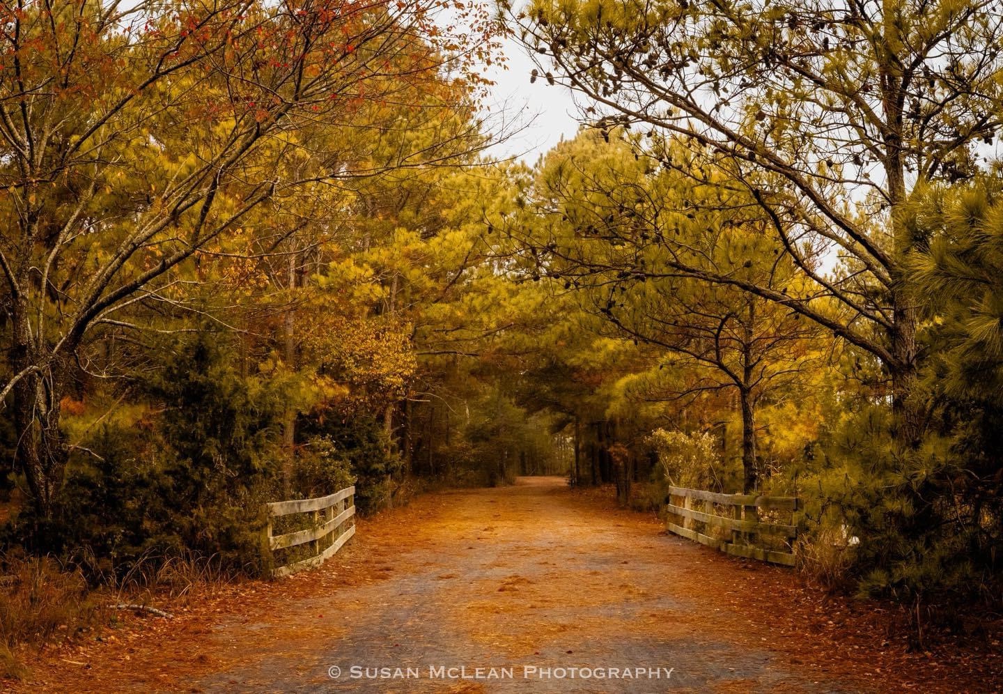 Navigating the Path: A Journey of Discovery