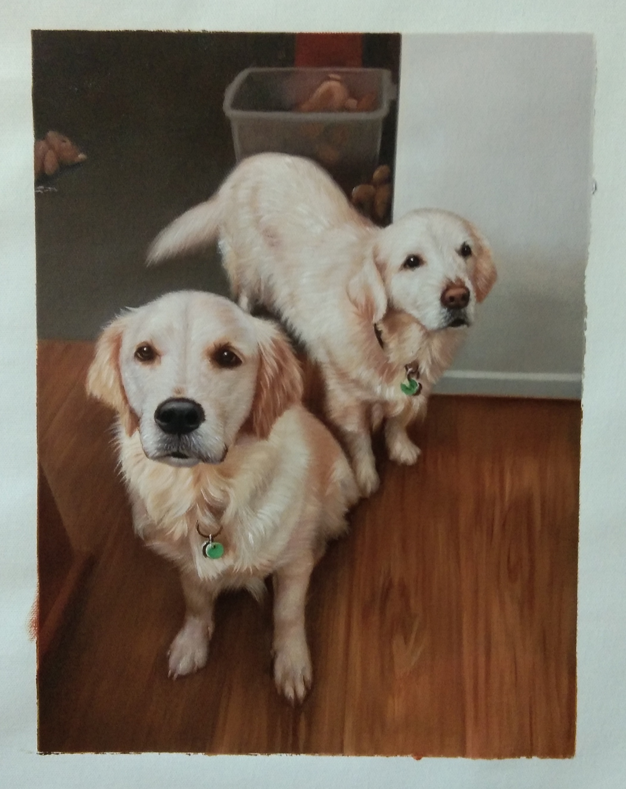 Meet Eddie and Teddy: Say Hello to the Dynamic Duo!