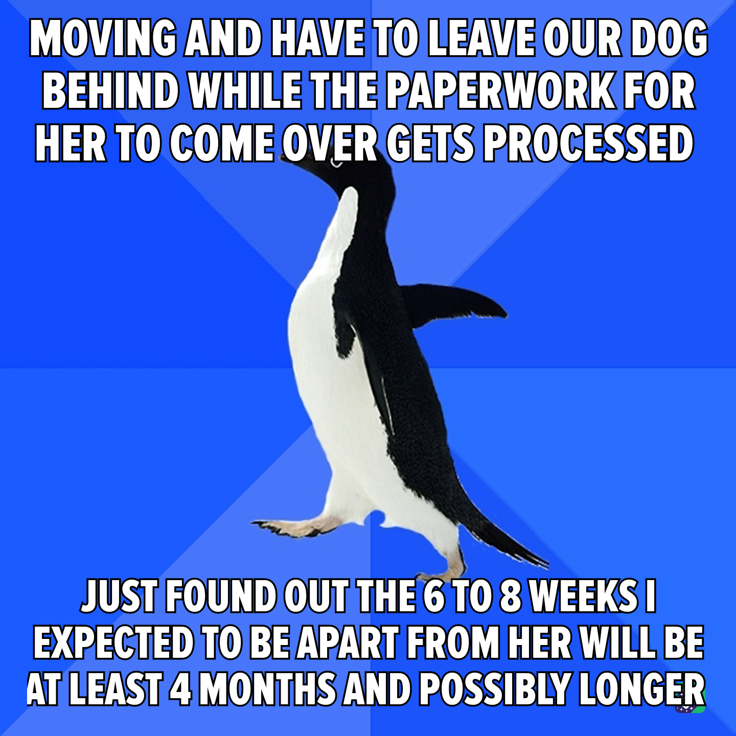 Feeling Lost: How Do I Navigate This Situation?