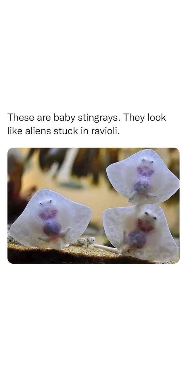 Adorably Cute Moments Captured