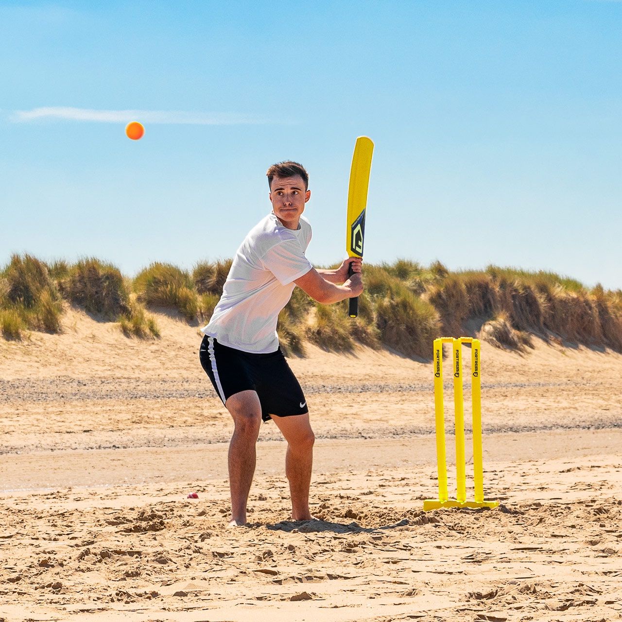It's Christmas, Everyone! Let’s Ditch the Acorns and Pinecones for Beach Cricket!