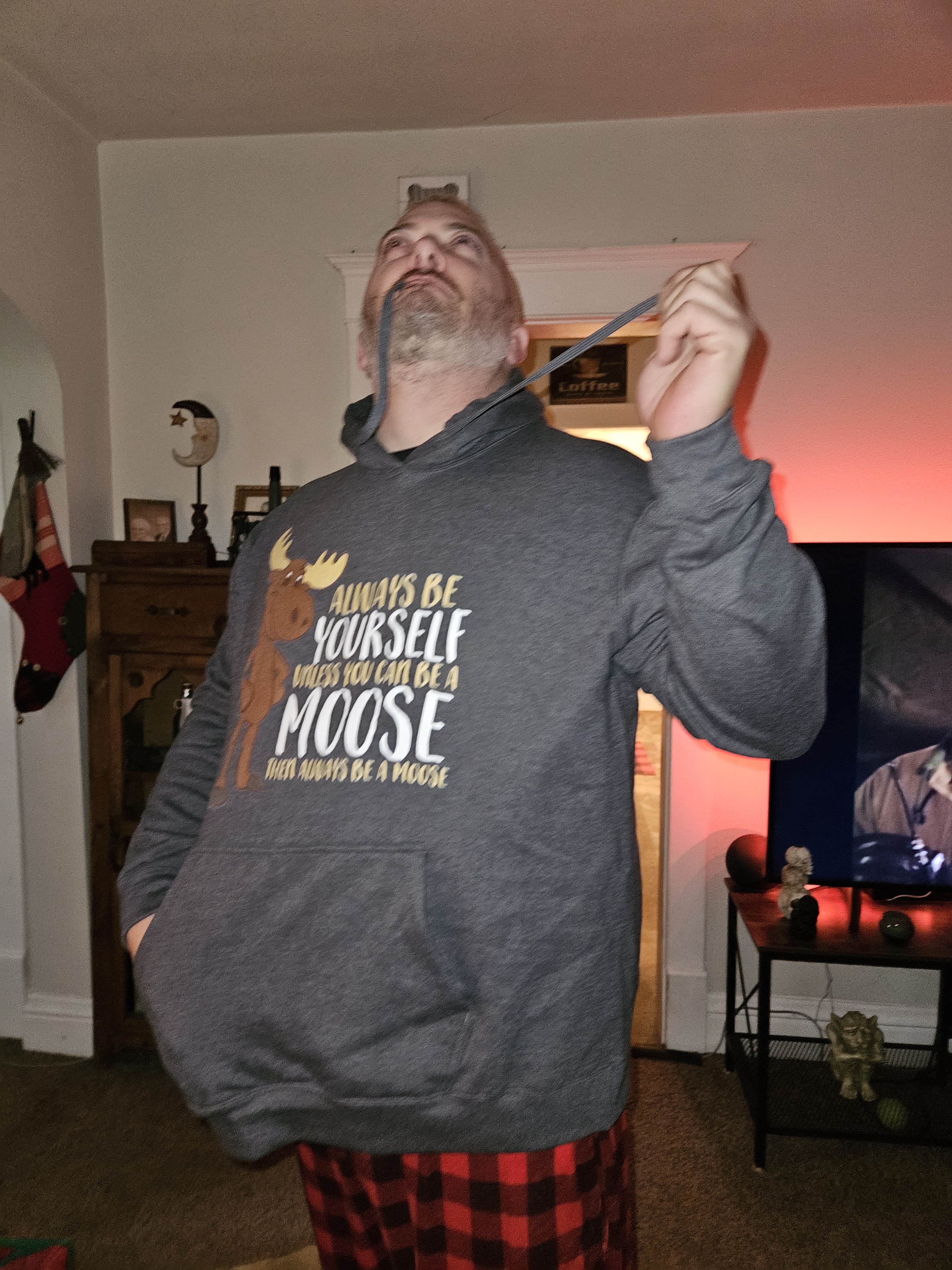 Not a Selfie, But a Merry Christmas Moose from Wisconsin!