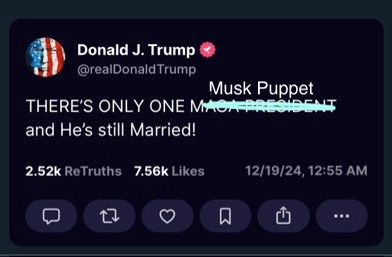 The Rise of the Musk Puppet
