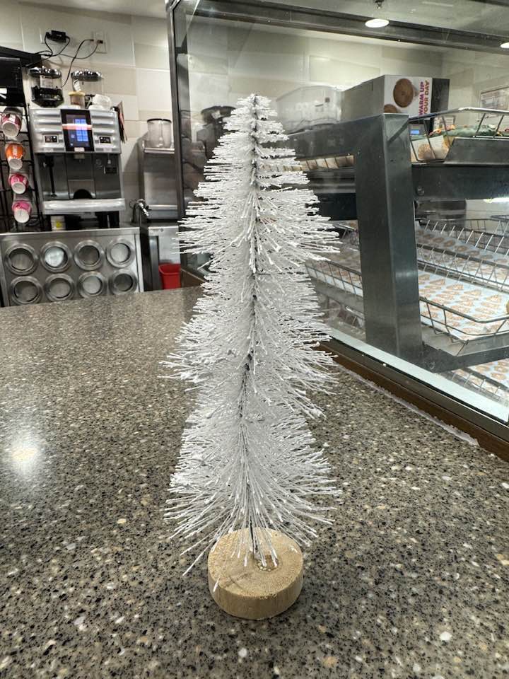 Toilet Brush or Christmas Tree? You Decide!