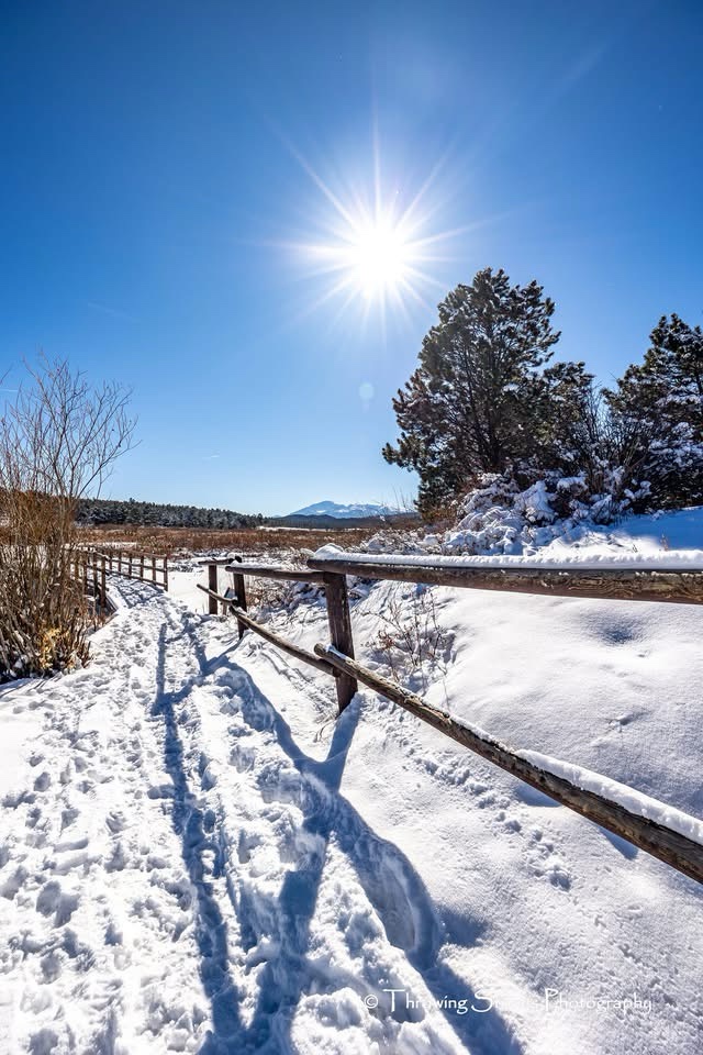 A winter wonderland: just look at that snow!