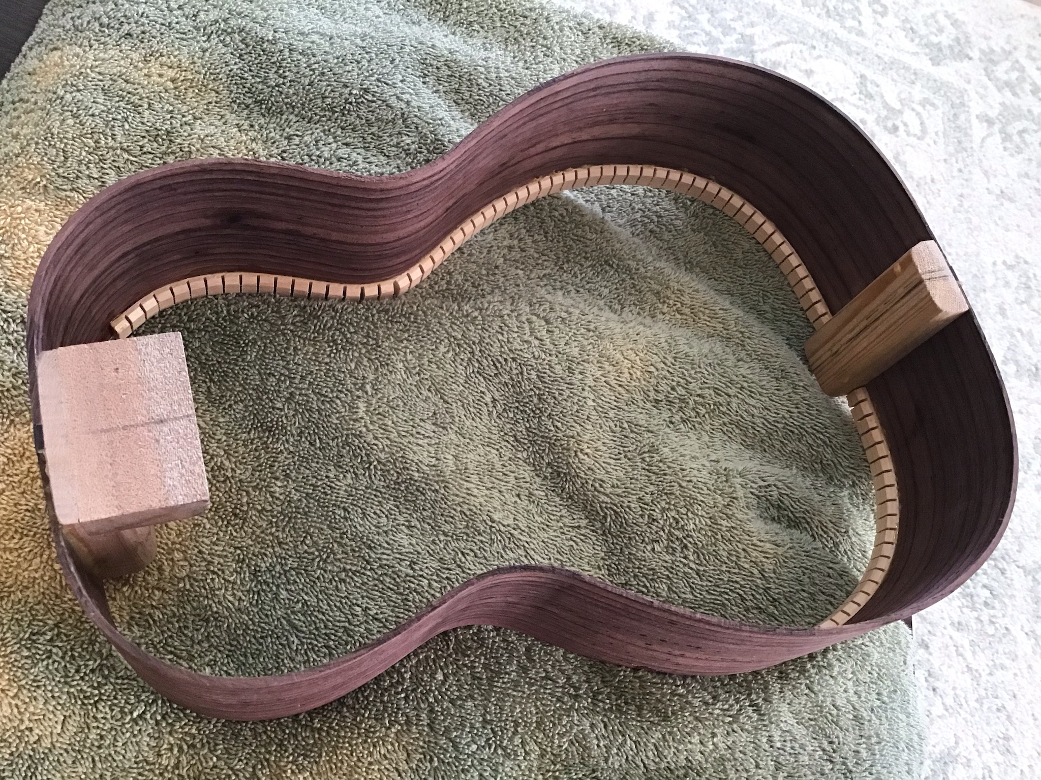 Progress Update: Mesa Community College Ukulele Build - Kerfing Done, Next Up is Gluing and Fretboard Inlays!