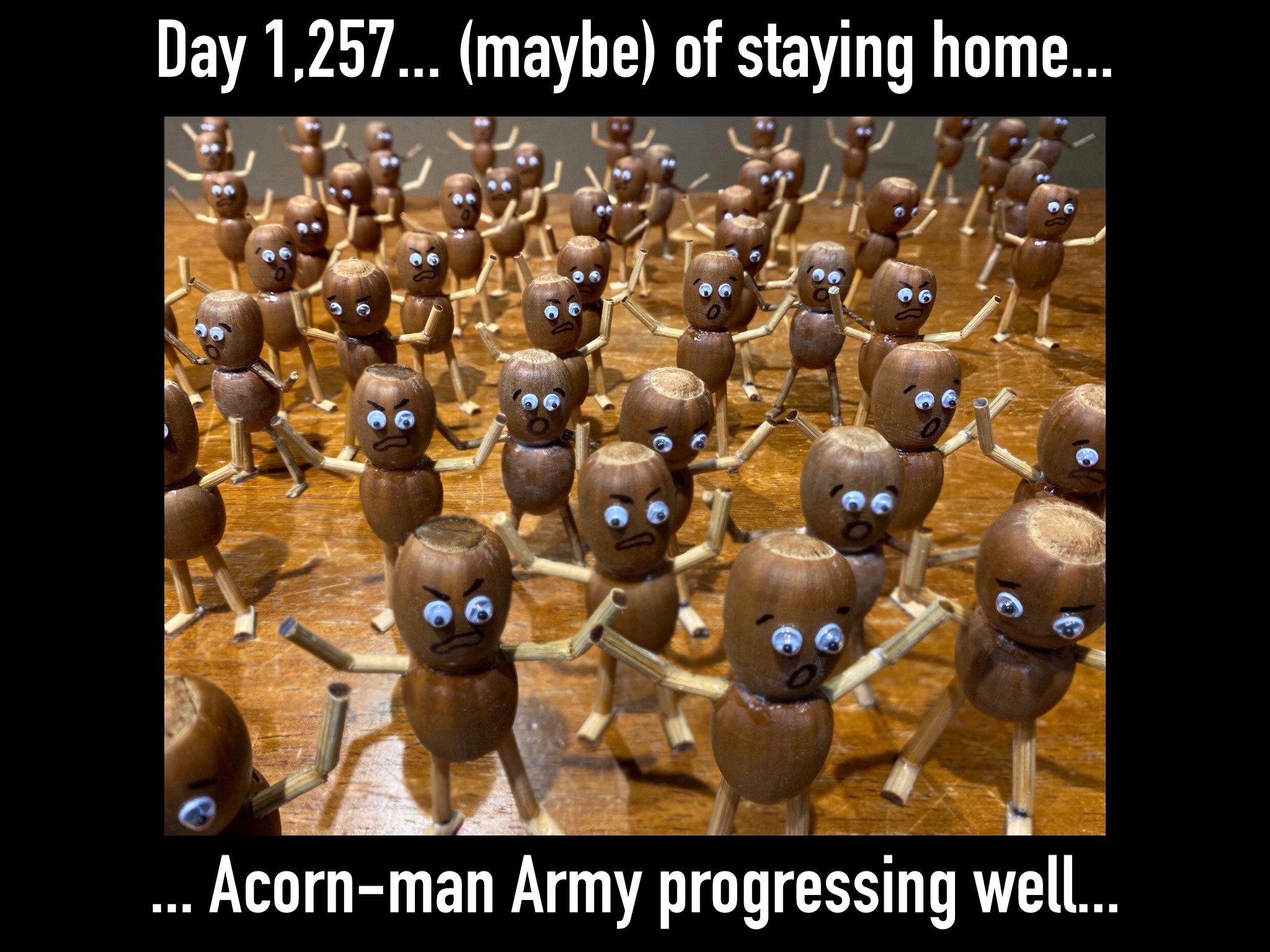 Team Acorn... I suppose that's what we're doing?