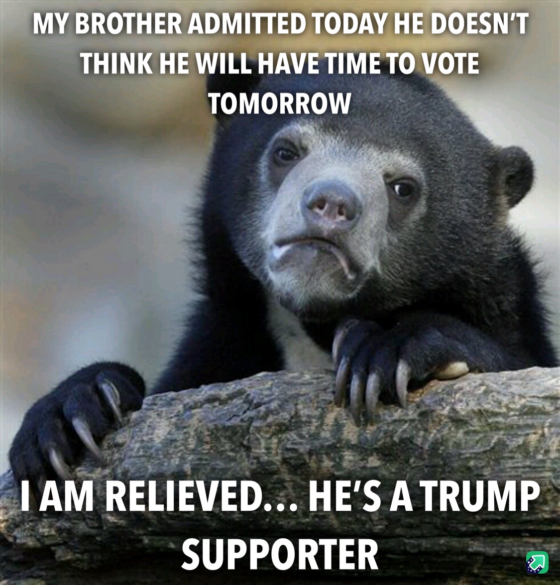 I Love My Brother, But Politics? Let's Not Go There!