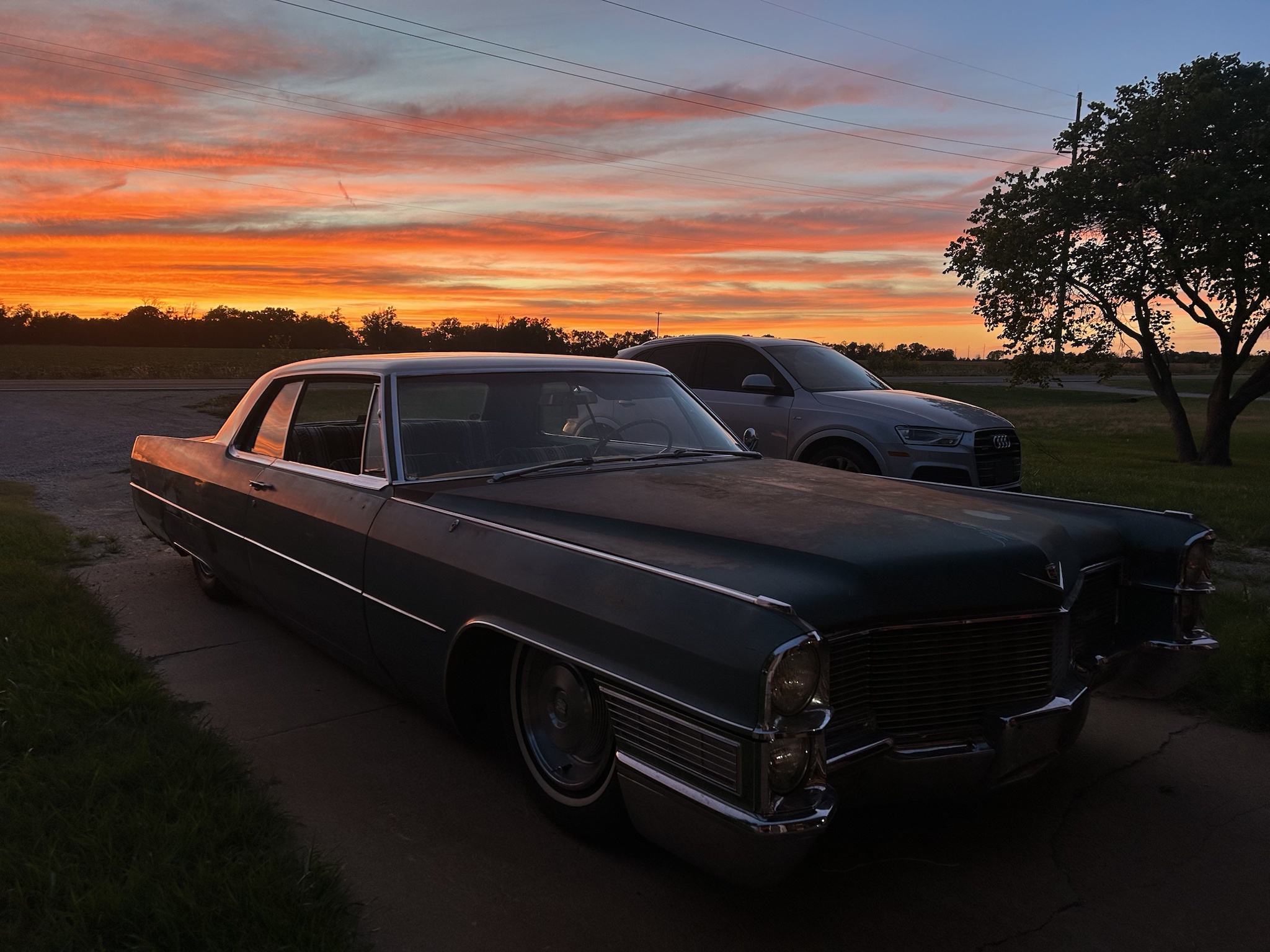 The Long and Low Journey: Embracing the 65!