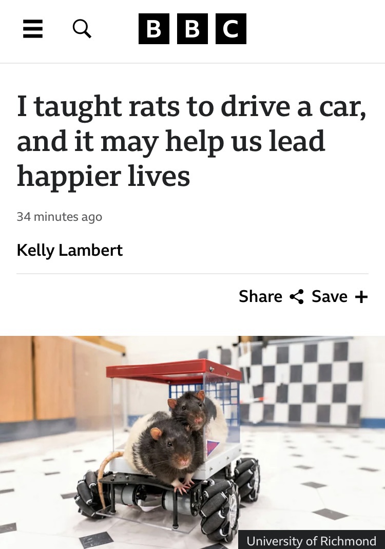 Celebrating Our Furry Friends: A Tribute to Rats