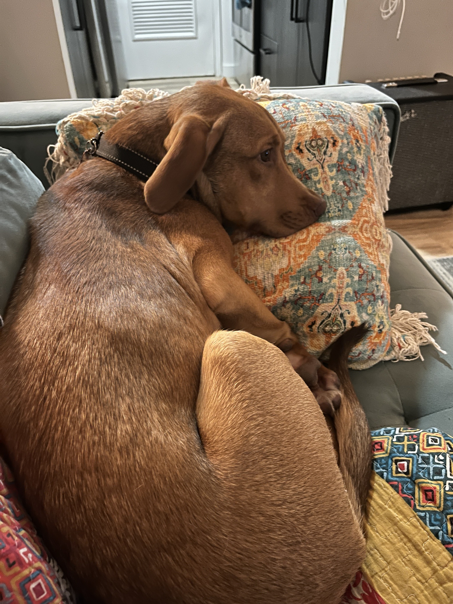 Meet Sadie: The Heart of the Moment