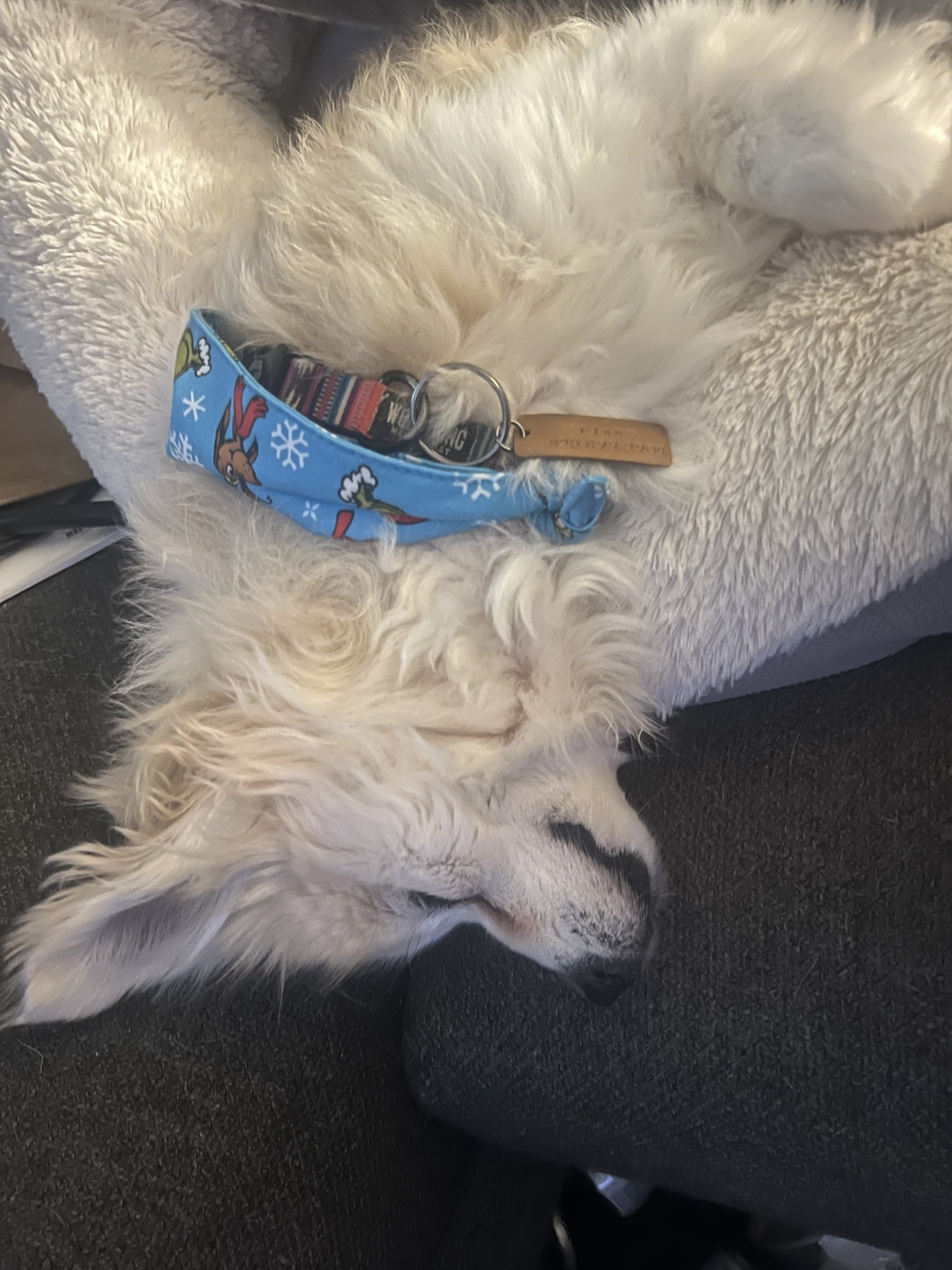 Exhausted but still defying the laws of physics