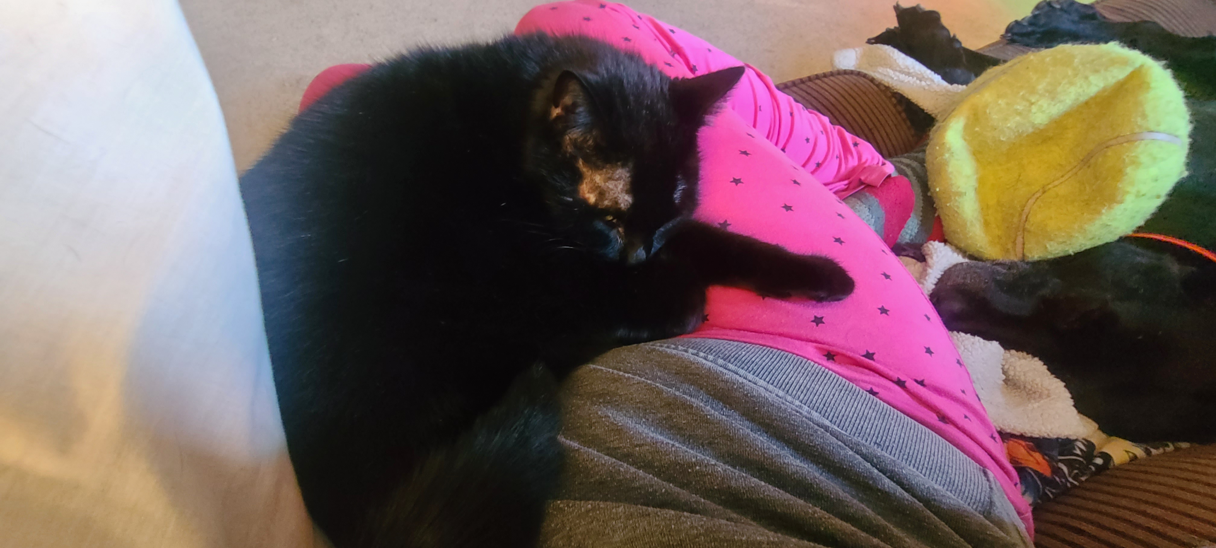 The Void is Making Productivity Nearly Impossible