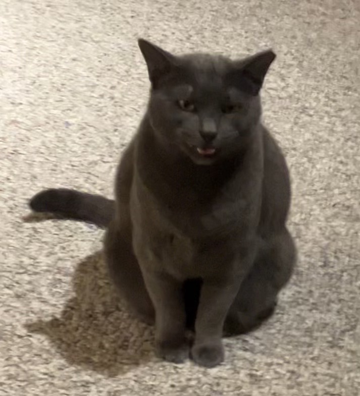 Daily Snick Pic Adventure #39