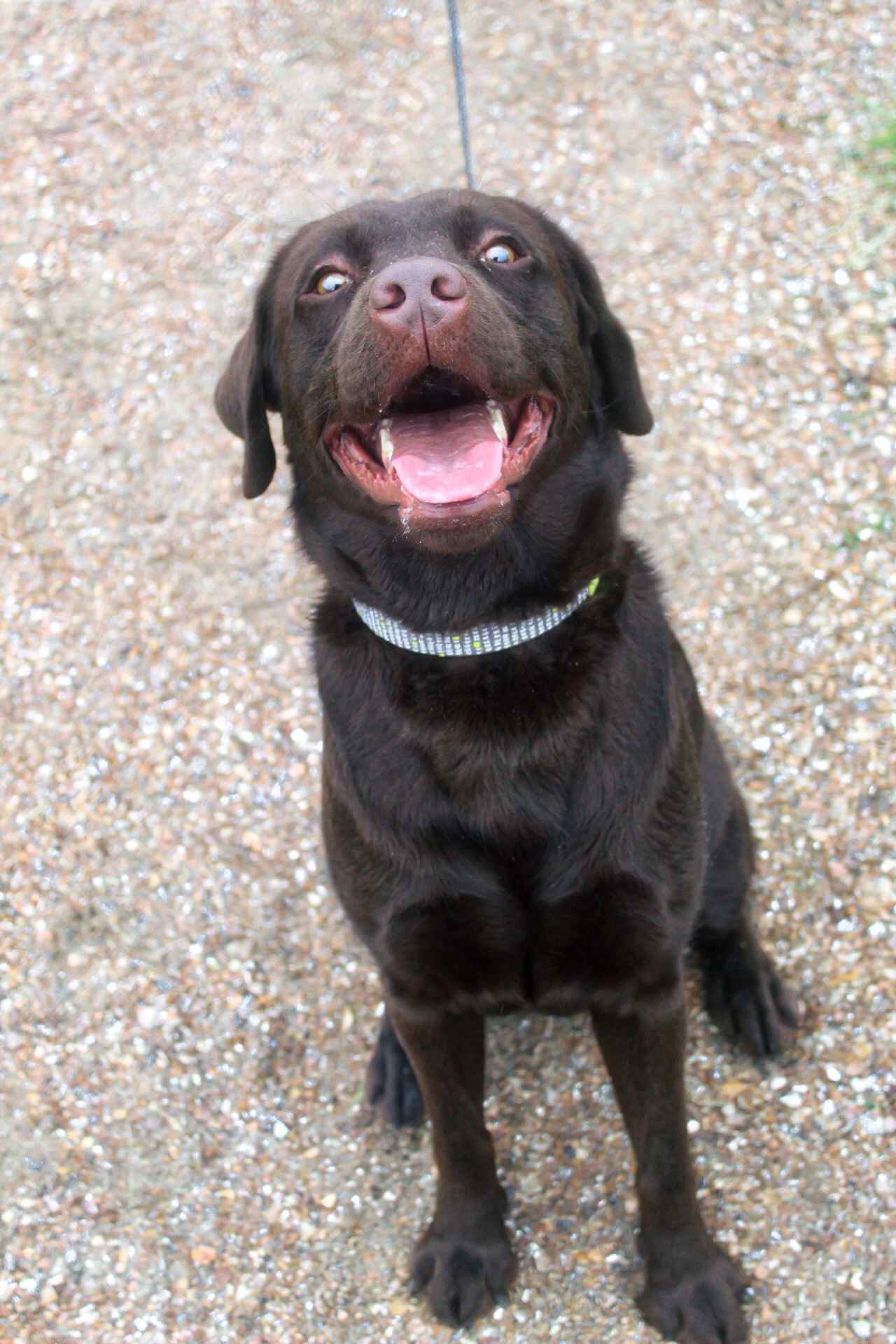 I don't think he's feeling too cheerful...
