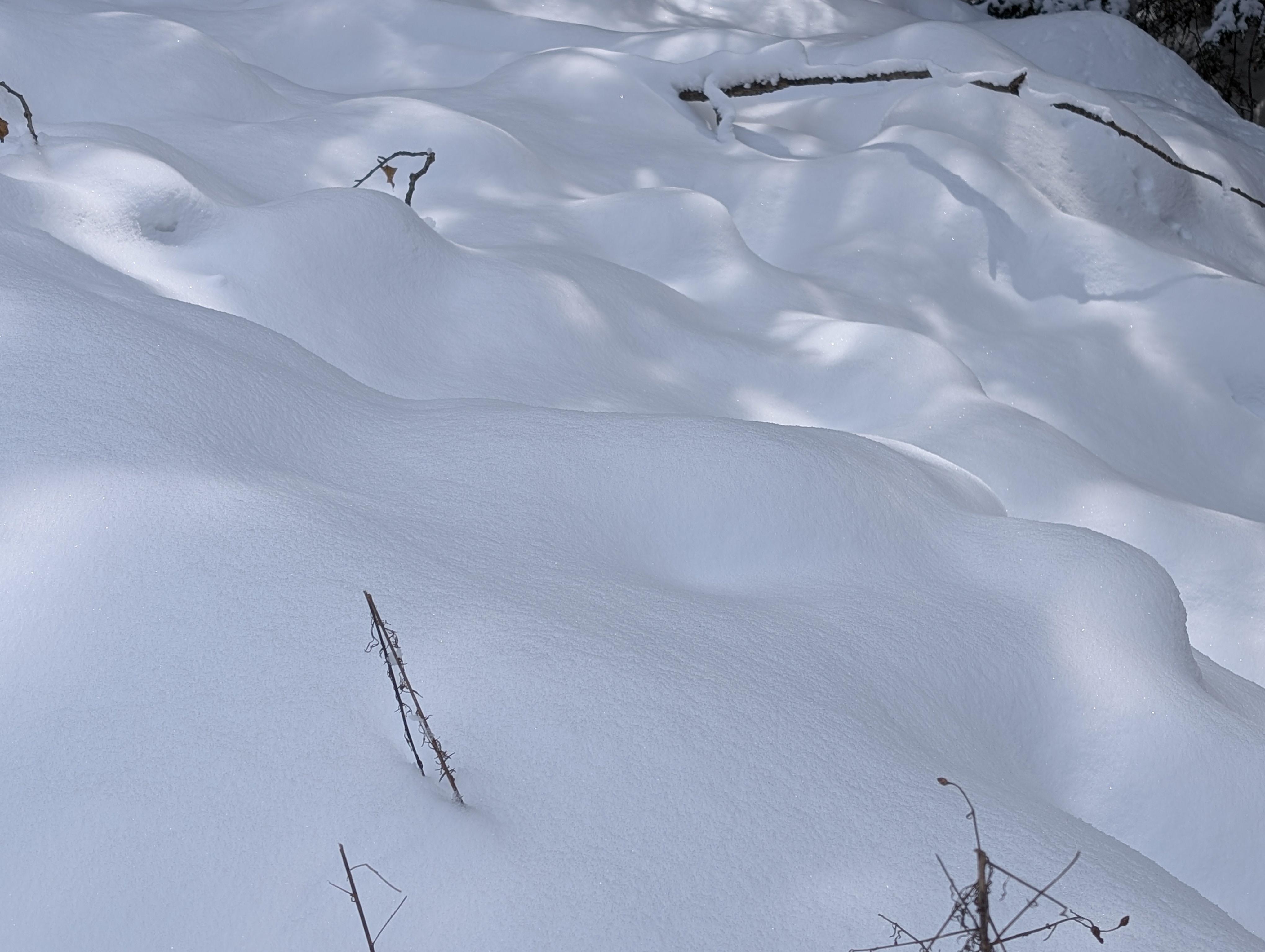 Nature's Beauty: Light Dancing on Snow-Covered Boulders