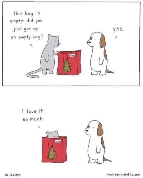 It's All About the Cats - Feline Fun Awaits!