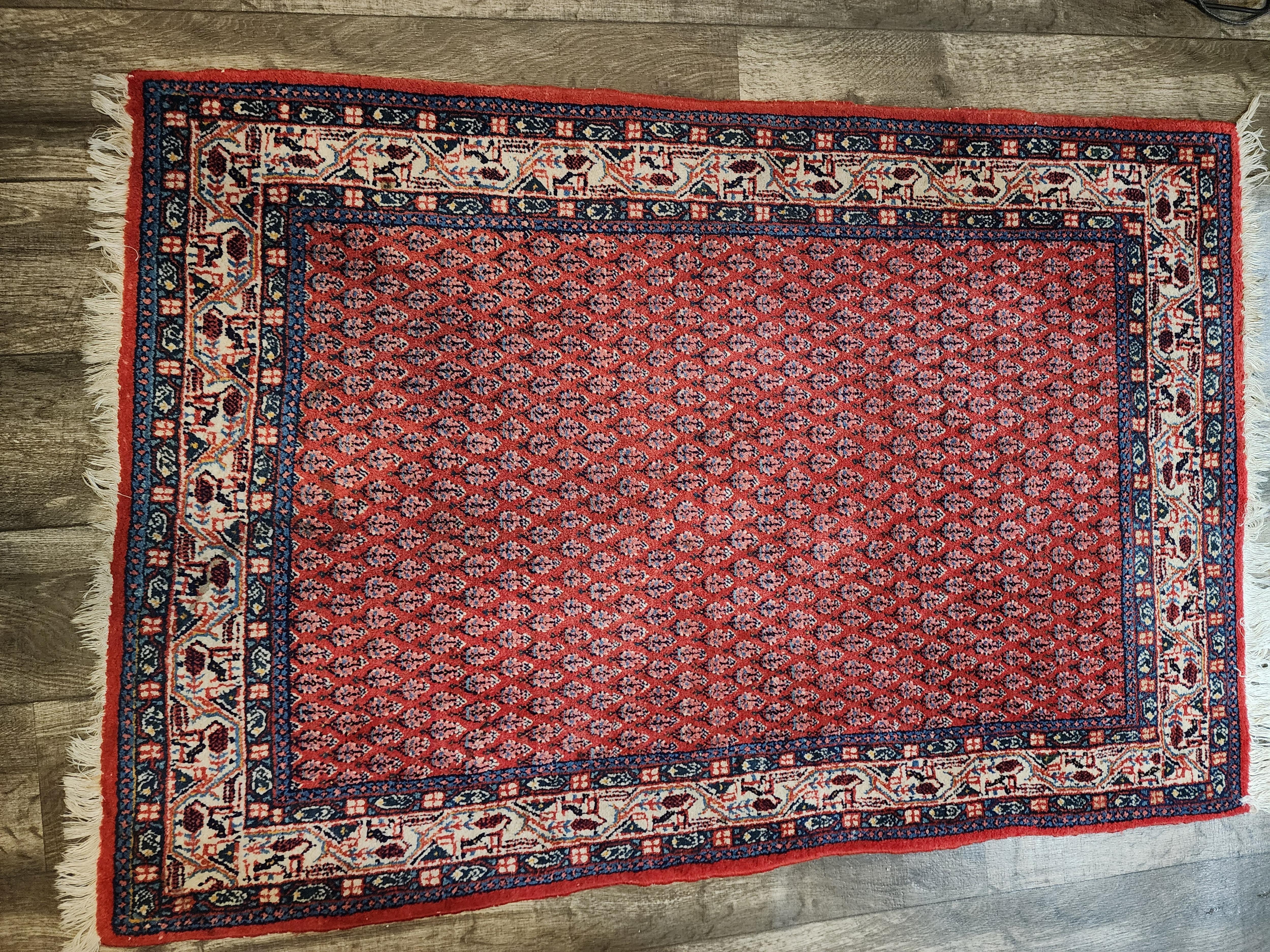 Is This a Sarouk Mir? Let's Discuss!