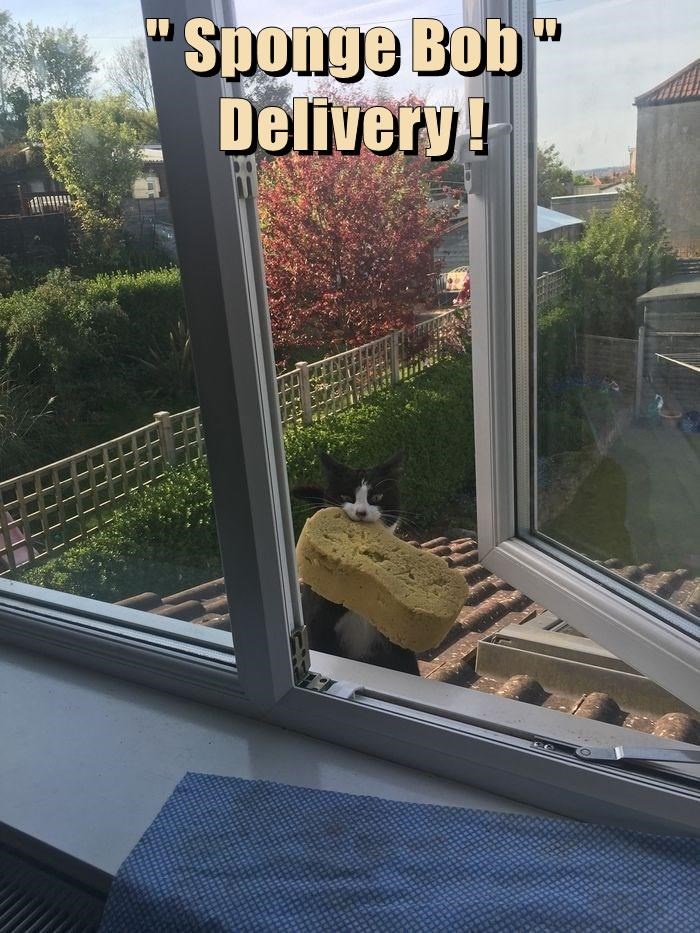 No Need for Tips Here!