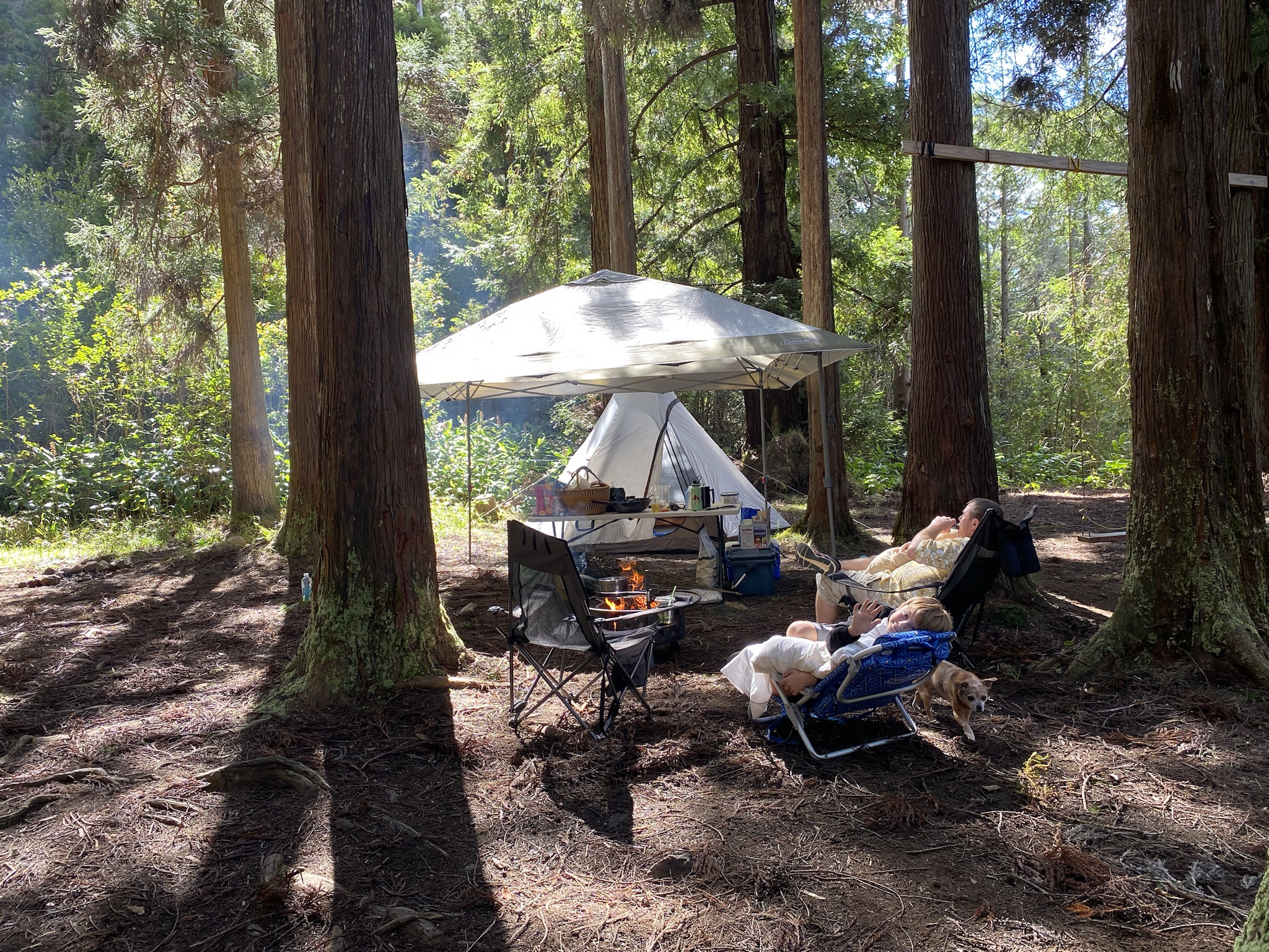 Camping Adventures at Sugi Grove in Kaua'i