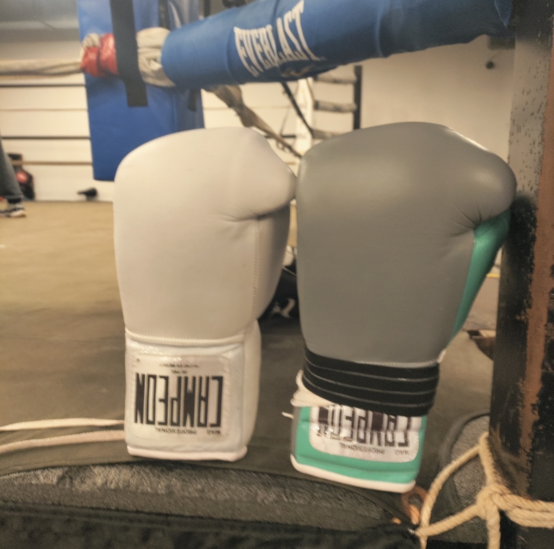 A Side-by-Side Comparison of 16oz