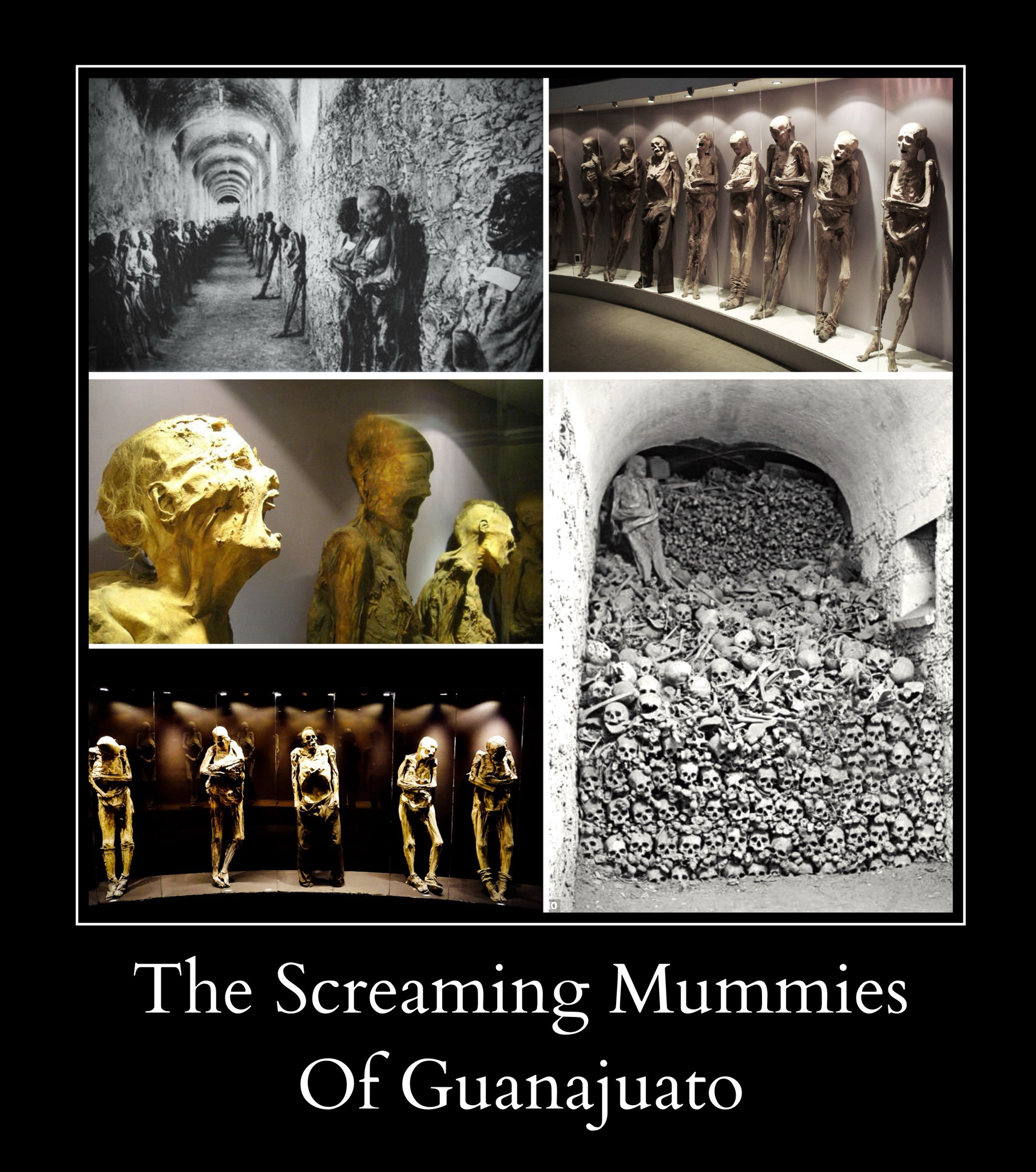 Unveiling the Terrifying Screaming Mummies of Guanajuato!