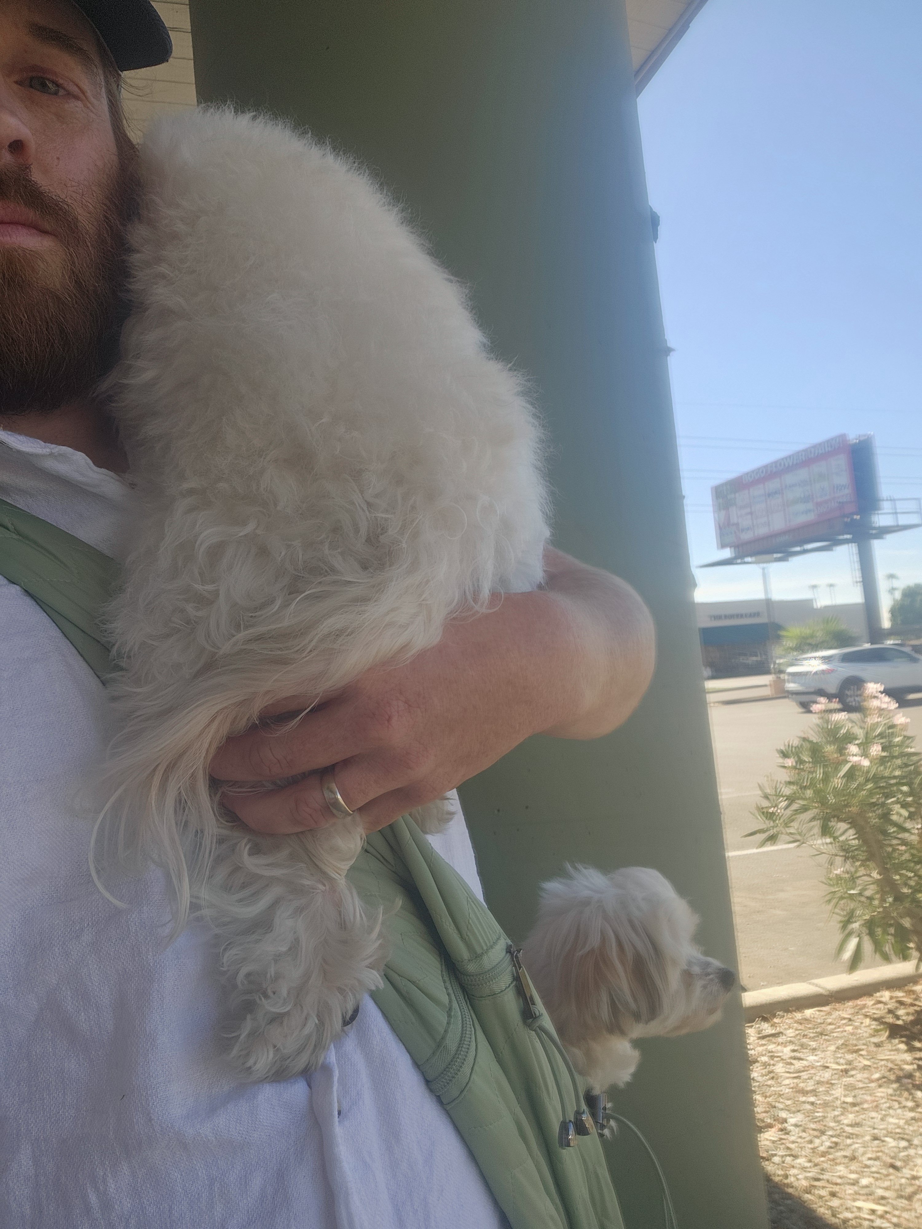 Quinnie snuggled in the sling while Boba took a cozy nap on my shoulder.