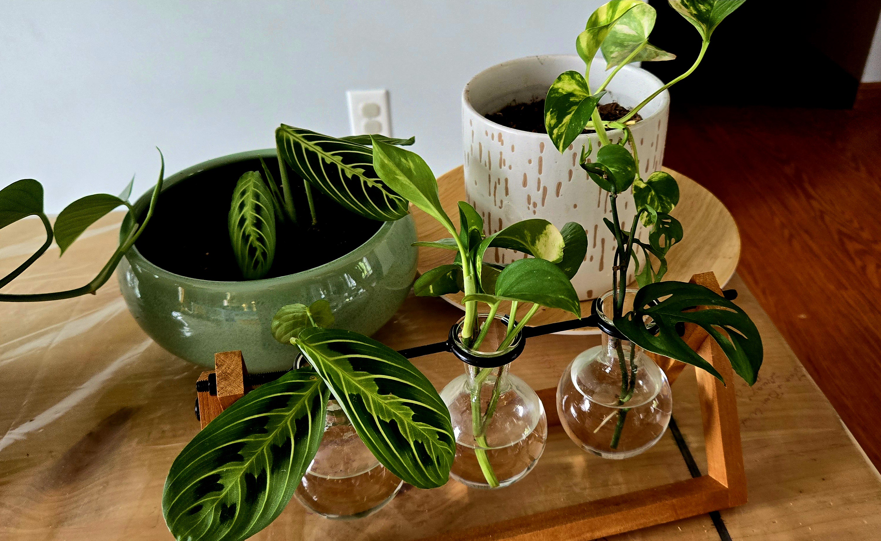 Hobby? Nah, I've got a whole collection of passions!